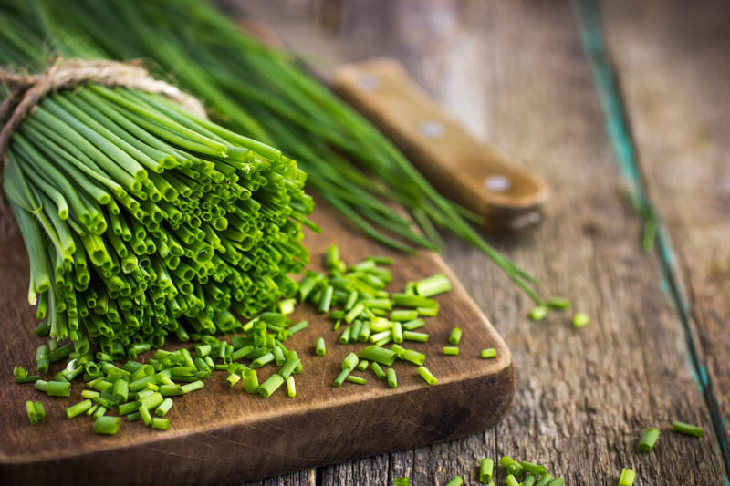 Allium Schoenoprasum, Chives, Chives Plant, Chives Flower, Cive, Onion Grass, Aromatic Herb, Cooking Herb