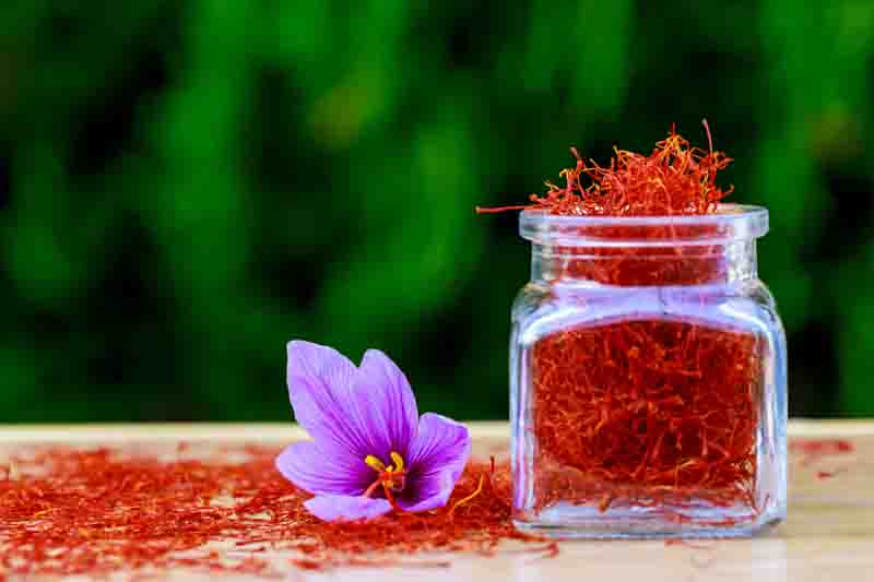 Crocus Sativus, Saffron Crocus, Autumn Crocus, Saffron,