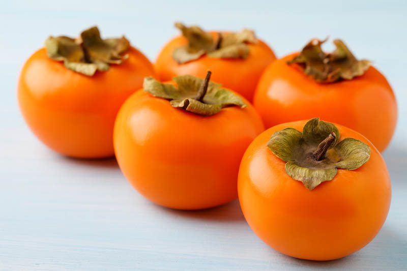 Diospyros kaki, Japanese Persimmon, Oriental Persimmon, Persimmon Fruit, Persimmon Tree, Kaki, Kaki Fruit,