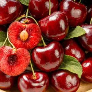 Prunus avium 'Bing', Sweet Cherry 'Bing', Bing Sweet Cherry, White flowers, Spring Flowers, Cherry tree, Cherries, Red Cherries, Fruit tree