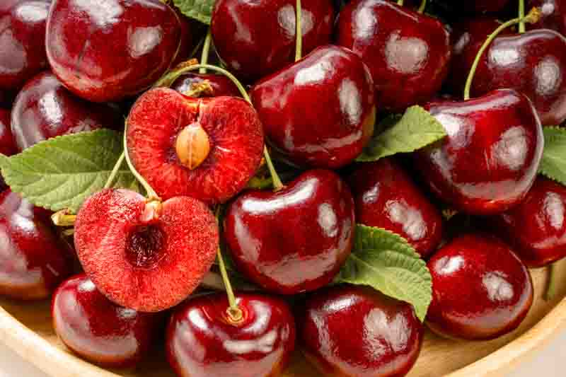 Prunus avium 'Bing', Sweet Cherry 'Bing', Bing Sweet Cherry, White flowers, Spring Flowers, Cherry tree, Cherries, Red Cherries, Fruit tree