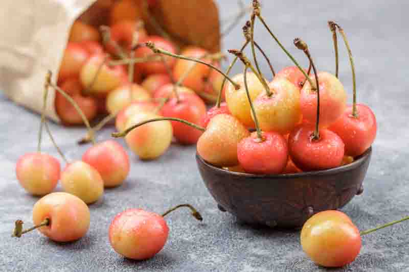 Rainier Cherries, Rainier Cherry, Sweet Cherries, Prunus avium Rainier