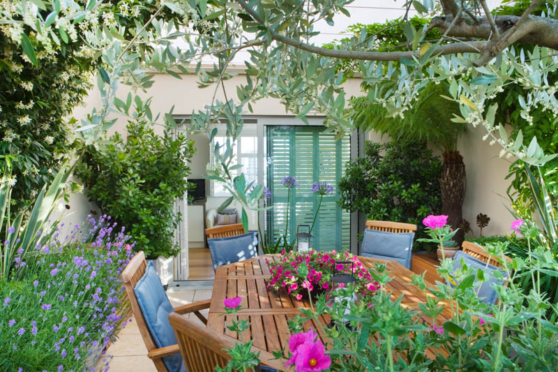 LONDON ROOFTOP GARDEN: GARDEN ROOM. LIMESTONE FLOOR  WOODEN TABLE AND CHAIRS  AGAPANTHUS UMBELLATUS OVATUS  OLEA EUROPEA  LAVANDULA HIDCOTE