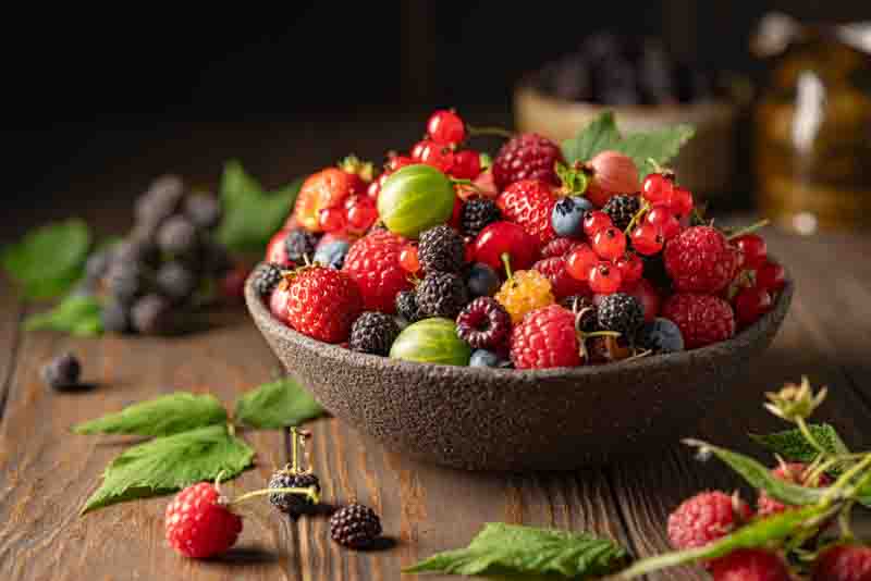 Rubus occidentalis, Black Raspberry, Thimbleberry, Rubus occidentalis var. pallidus, Black Berries, Fruiting Shrub