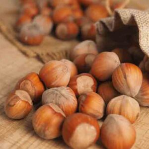Hazelnut, Hazel, Filbert, Nut, Nuts, Corylus avellana