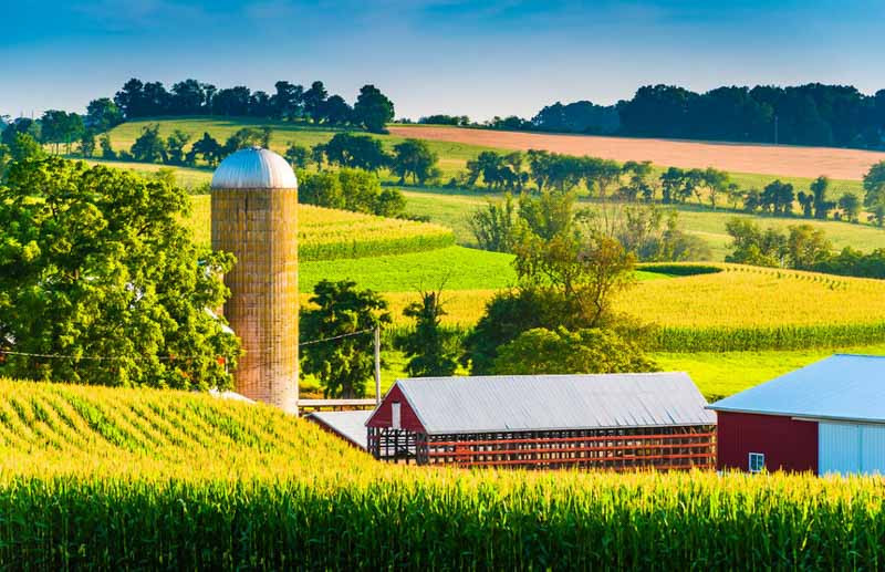 Mid-Atlantic, Mid-Atlantic Gardening, Mid-Atlantic garden, Mid-Atlantic Climate, Mid-Atlantic Region