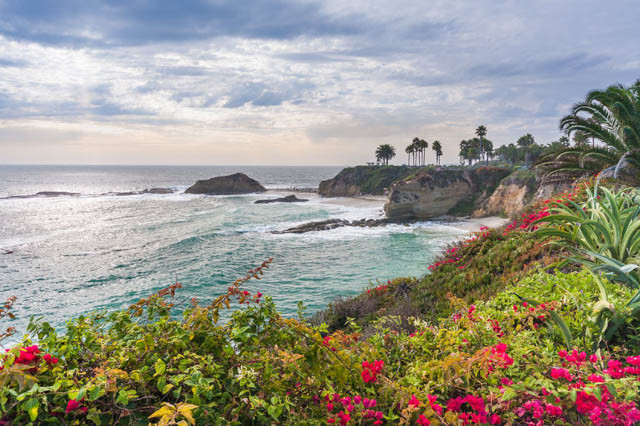 Coastal Garden, Southern California