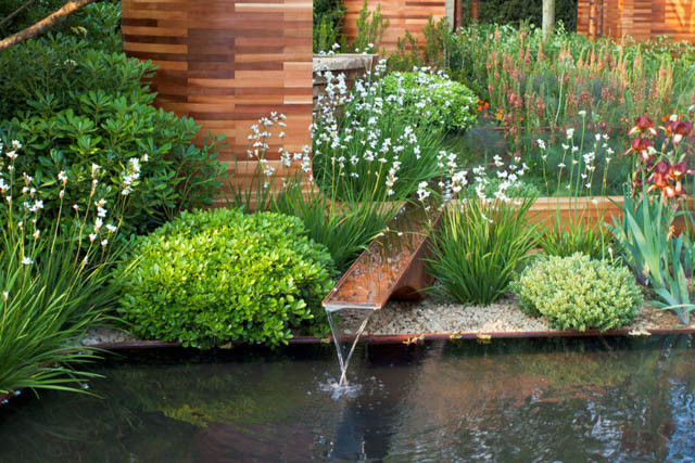 Contemporary Garden, Contemporary Gardens, Contemporary Garden Ideas, Contemporary Garden Style, Contemporary Garden Design, Contemporary Garden Landscaping, Contemporary Garden Plants