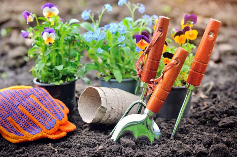 Gardening Tips, Gardening Advice, How to Grow