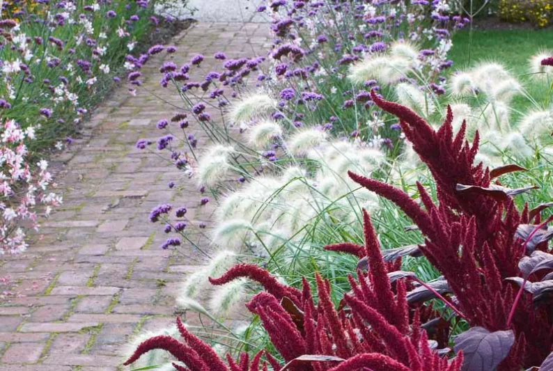 Garden Ideas