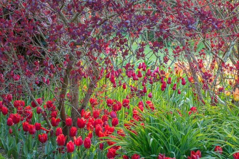 Spring Combination Ideas
