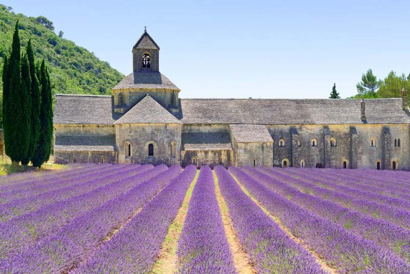 France, French gardening, French garden, French Climate, French Region