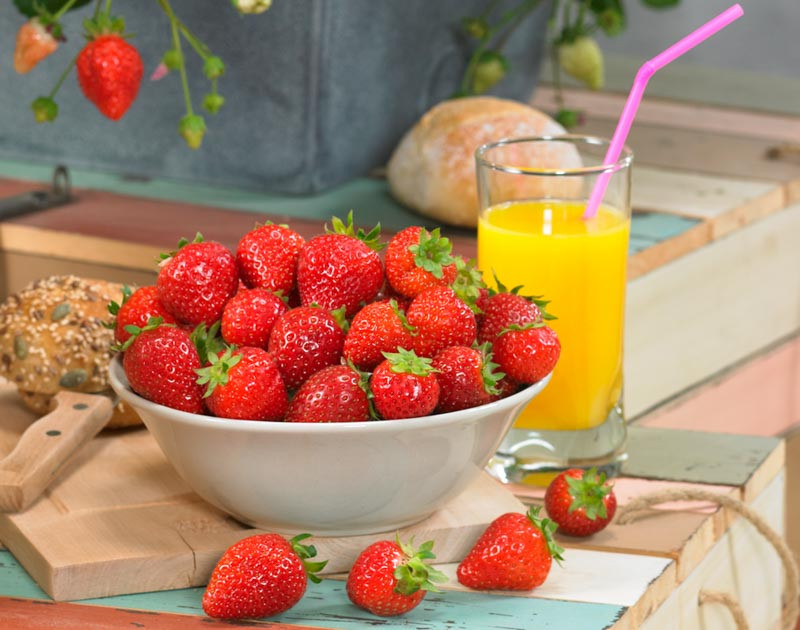 Fragaria, Strwberries, Garden Strawberries, Wild Strawberries, Alpine Strawberries, Fragaria ananassa, Fragaria vesca, Junebearing Strawberries, Everbearing Strawberries