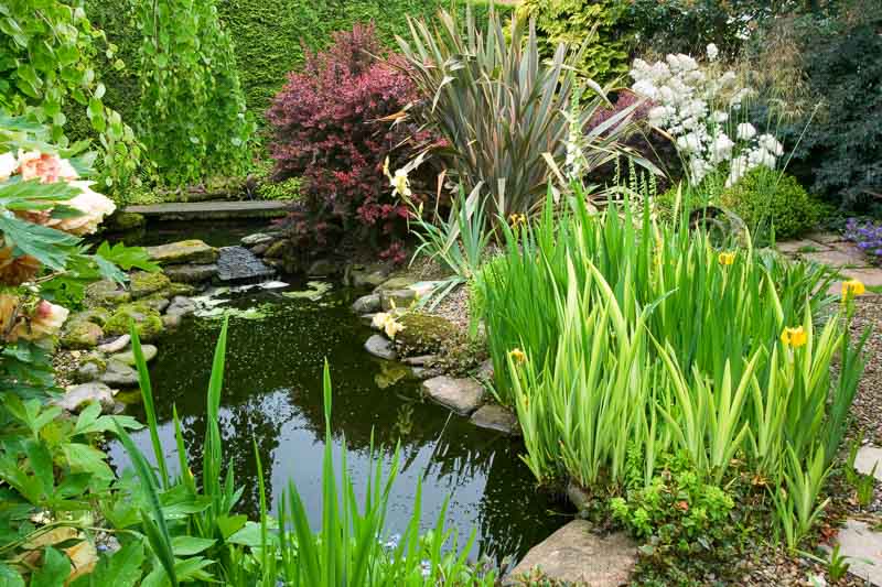 Water Gardens, Aquatic Gardens, Ponds, Pools, Pool Ideas, Pool Designs, Pool Landscaping