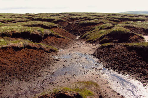 Wet soil