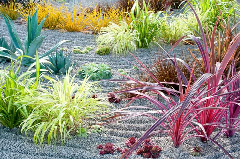 Design a Winter Garden that Combines Toughness, Color & Texture - Gallery