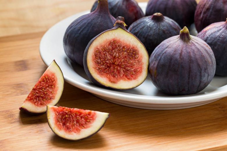 Ficus carica 'Chicago Hardy', Fig 'Chicago Hardy', Chicago Hardy Fig, Figs, Fruit Trees