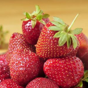 Fragaria × ananassa 'Jewel', Junebearing Strawberry 'Jewel', Strawberry 'Jewel', evergreen shrub, Strawberries, Red Fruit, White flowers