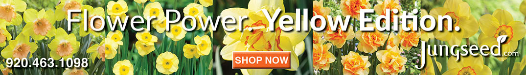 Banner Jungseed