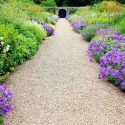 Hardy geranium, hardy geraniums, Best Hardy Geraniums, Great Hardy Geraniums, Cranesbill,  Best cranesbills, Long blooming geraniums, non stop blooming geraniums