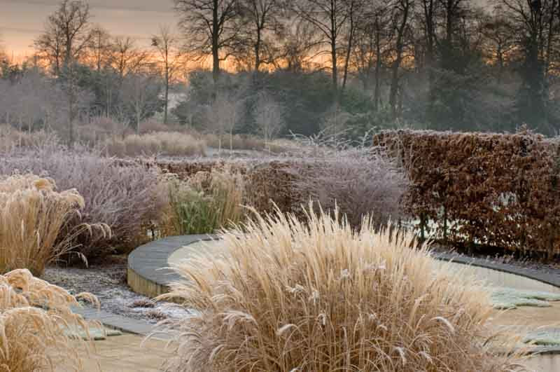 Winter Garden, Early Spring Garden, Ornamental Grass,Ornamental Grasses, Micanthus, Japanese silver Grass, Feather Reed Grass, calamagrostis, Carex, Sedge, Norther Sea Oats, Chasmanthium
