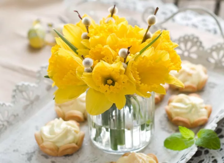 Most Fragrant Daffodils, Fragrant Daffodils, Fragrant Narcissus, Fragrant Bulbs, Fragrant Spring Bulbs., Best Daffodils, Best Narcissus, Naturalizing Bulbs, perennial Bulbs