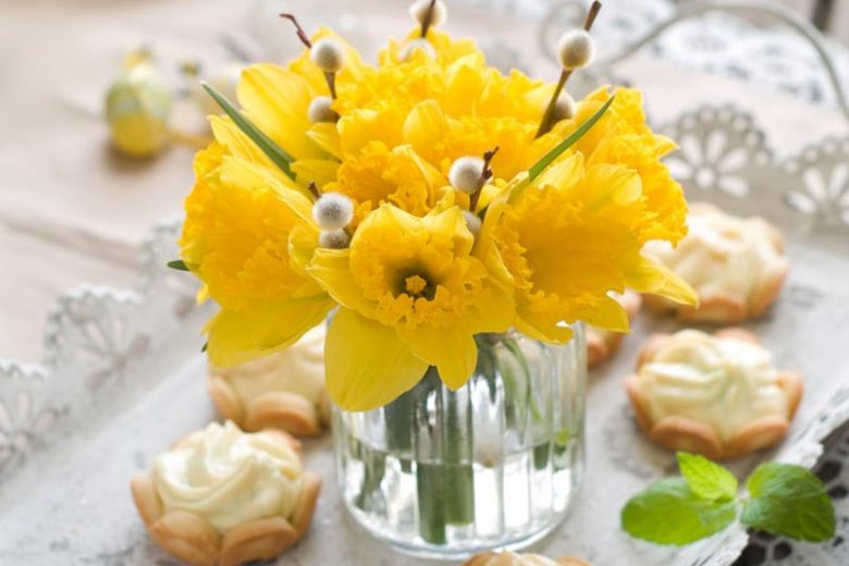 Most Fragrant Daffodils, Fragrant Daffodils, Fragrant Narcissus, Fragrant Bulbs, Fragrant Spring Bulbs., Best Daffodils, Best Narcissus, Naturalizing Bulbs, perennial Bulbs
