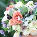 Combining Roses and Clematis, Mixing clematis and roses, Growing clematis and roses, Clematis and Roses Combinations, Best Climbing Roses, Best Clematis, Planting Roses and Clematis, Pruning Roses and Clematis