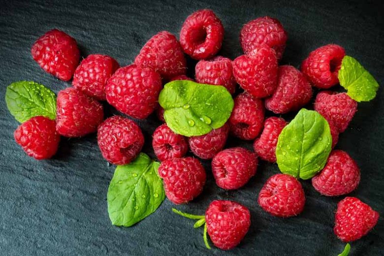 Rubus idaeus 'Boyne', Raspberry 'Boyne', Red Raspberry 'Boyne', Raspberries, Red Berries, Fruiting Shrub