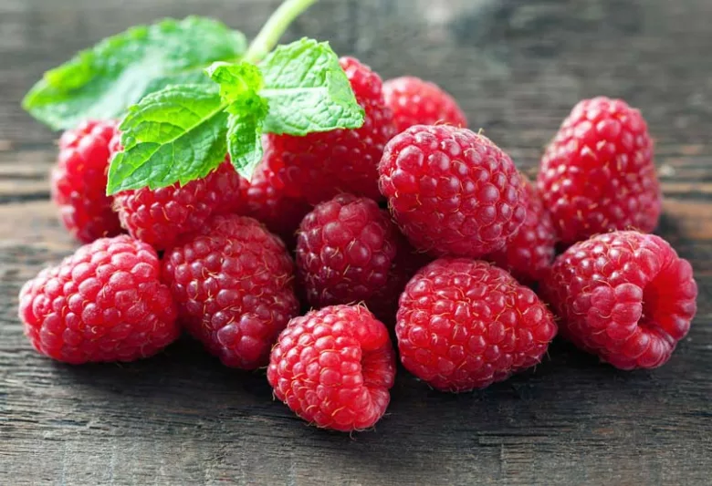 Rubus idaeus 'September', Raspberry 'September', Everbearing Raspberry, Raspberries, Red Berries, Fruiting Shrub