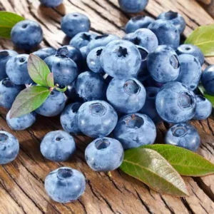Vaccinium corymbosum Bluecrop, Highbush Blueberry 'Blue Crop', Blueberry 'Blue Crop', Berries, Blue Berries