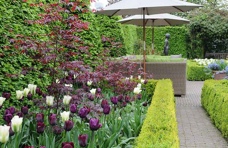 A Black & White Spring Border Idea for your Garden
