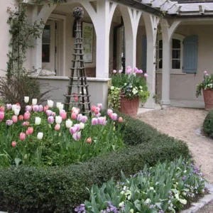 Garden ideas, Landscaping ideas, pergola, arbor, french style garden, tulips, late spring garden, tulip Menton, tulip Maureen, tulip Dreaming maid, AHBL Landscape