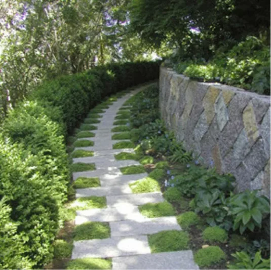 Garden Ideas, Landscaping ideas, pathway, walkway, side yard, Stone and grass, Suzman Design Associates, groundcovers path