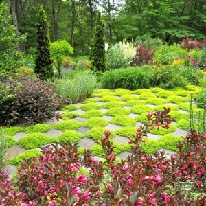 Garden Ideas, Landscaping ideas, Andrew Grossman Landscape Design, hot color garden, checkerboard garden