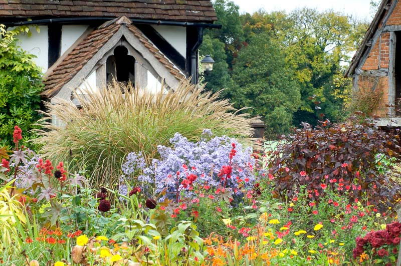 Hot summer border with Crocosmia, Salvia, Helenium, Dahlia and Aster