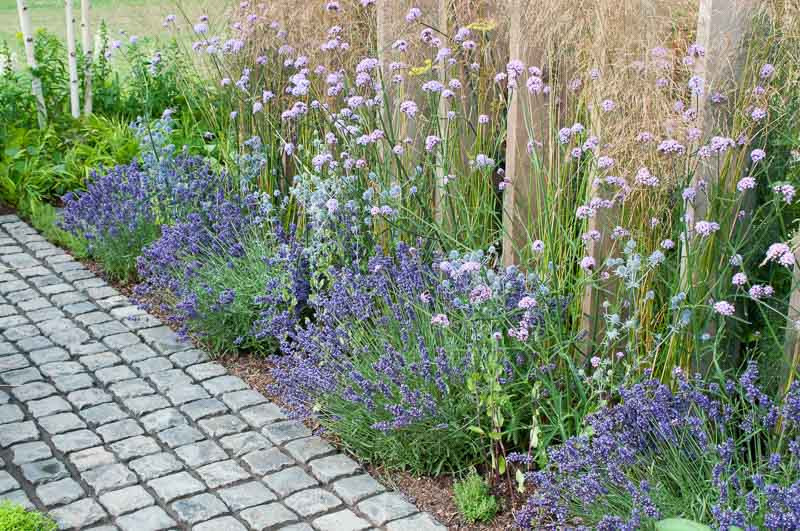 A LongLasting Summer Border Idea