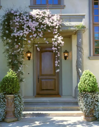 Garden Ideas, Climbing vines, Clematis Montana, Sweet Alyssum, Front entrance, Front entry, Mediterranean style garden
