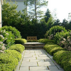 Garden ideas, Landscaping ideas, Formal Entrance, Japanese holly, Lilac, Bluestone, Andrew Grossman