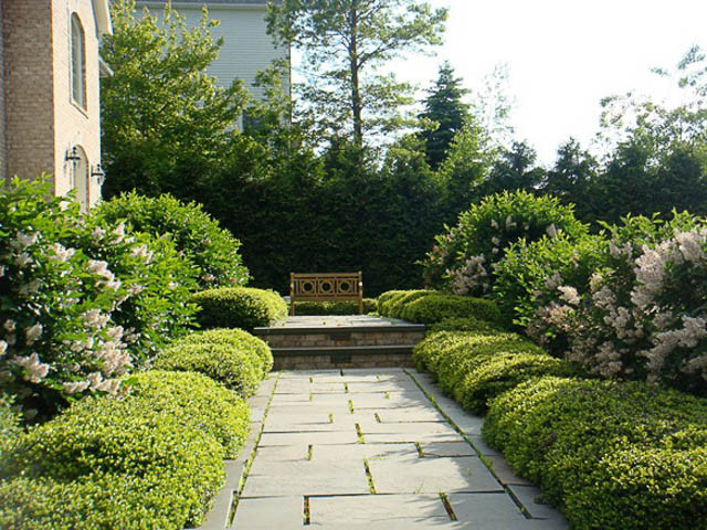 Garden ideas, Landscaping ideas, Formal Entrance, Japanese holly, Lilac, Bluestone, Andrew Grossman