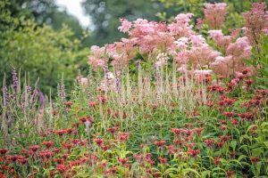 Garden Ideas, Border ideas, Perennial Combinations, Plant Combinations, Prairie Planting Ideas, Summer Borders, Filipendula Rubra Venusta, Veronicastrum Virginicum Fascination, Monarda Squaw, Lythrum Slicaria, Queen of the Prairie, Bee Balm, Culver's Root