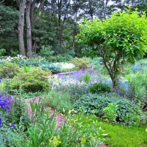 Garden ideas, Landscape Design,  Andrew Grossman Landscape Design, Cottage garden