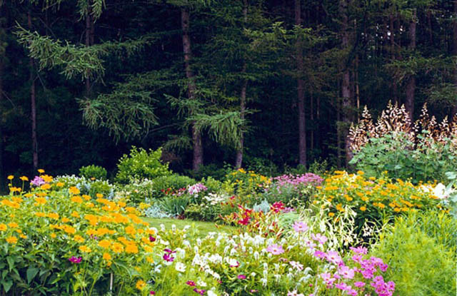 Garden ideas, Landscaping ideas, Impressionist Garden, Andrew Grossman, Perennials