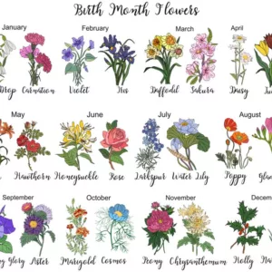Birth Flowers, Birth Month Flowers, Birth Flower, Month Birth Flower, May Birth Flower, June Birth Flower, July Birth Flower