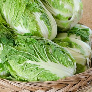 Brassica rapa Pekinensis, Chinese Cabbage, Bok Choy, Celery Cabbage, Chinese Cabbage, Napa Cabbage, Peking Cabbage