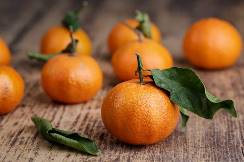 Citrus clementina, Clementine