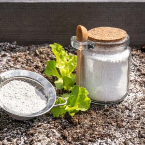Diatomaceous Earth, Organic Insecticide,  ants, aphids, cutworms, crickets, bed bugs, cockroaches, crickets, Japanese beetles, millipedes, ticks, spiders, cabbage maggot, slugs and snails