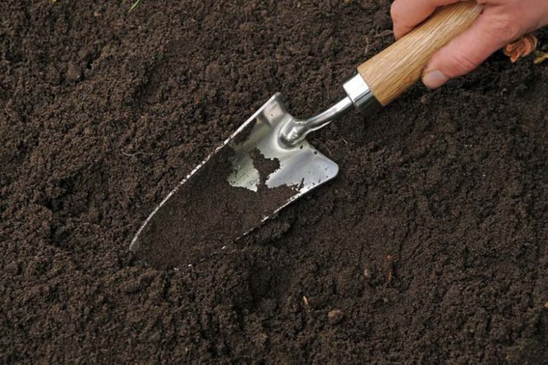 Garden soil, organic matter, compost, composting, healthy soil, manure,