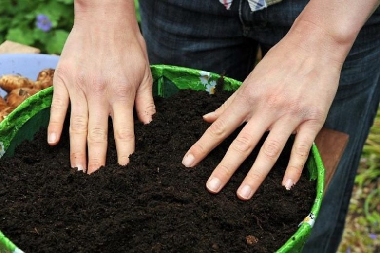 Garden soil, organic matter, compost, composting, healthy soil, manure,