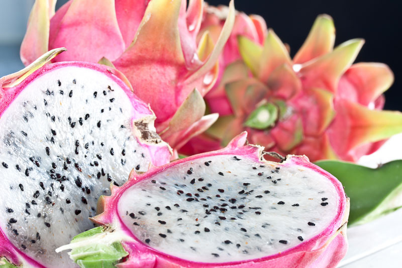 Where Does Dragon Fruit Come From?
